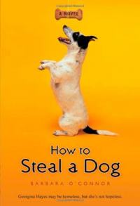 How to Steal a Dog Summary & Study Guide