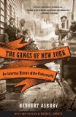 Gangs of New York, A Film Analysis