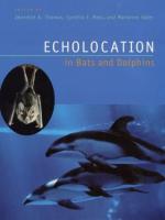 Animal echolocation