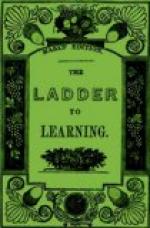 The Ladder to Learning