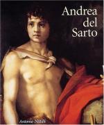 Andrea del Sarto by 
