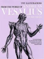 Andreas Vesalius by 