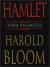 Harold Bloom Biography and Literature Criticism