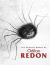 Odilon Redon Biography