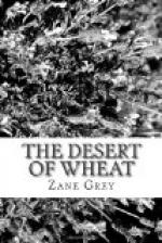 The Desert of Wheat by Zane Grey