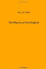 The Pilgrims of New England by 