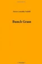 Bunch Grass by 