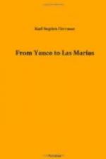 From Yauco to Las Marias by 