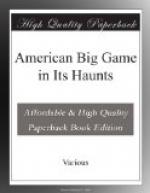 American Big Game in Its Haunts by 