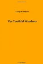 The Youthful Wanderer by 