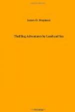 Thrilling Adventures by Land and Sea by 