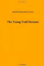 The Young Trail Hunters by 