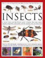 The History of Insects by 