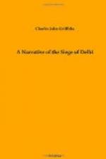 A Narrative of the Siege of Delhi by 