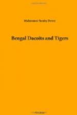 Bengal Dacoits and Tigers by 