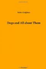 Dogs and All about Them by 