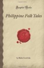 Philippine Folk-Tales by 