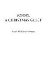 Sonny, a Christmas Guest by 
