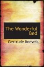 The Wonderful Bed by 