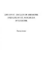 Life of St. Declan of Ardmore and Life of St. Mochuda of Lismore by 