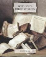 Wee Ones' Bible Stories by 