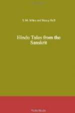 Hindu Tales from the Sanskrit by 