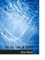 The Sky Line of Spruce by 