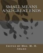 Small Means and Great Ends by 