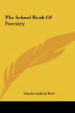The School Book of Forestry by 