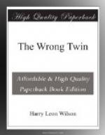 The Wrong Twin by 