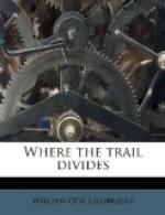 Where the Trail Divides by 