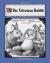 The Velveteen Rabbit eBook