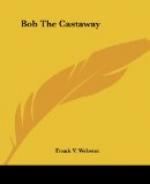 Bob the Castaway by 