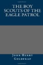 The Boy Scouts of the Eagle Patrol by 