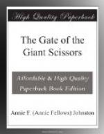 The Gate of the Giant Scissors by 