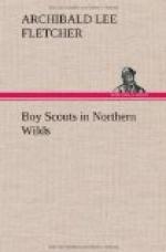 Boy Scouts in Northern Wilds by 