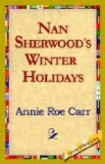Nan Sherwood's Winter Holidays by 