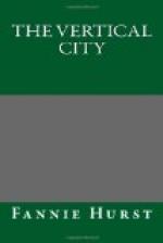 The Vertical City by Fannie Hurst