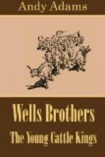 Wells Brothers by Andy Adams