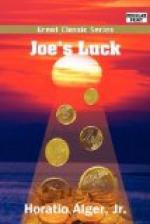 Joe's Luck by Horatio Alger, Jr.