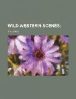 Wild Western Scenes by 
