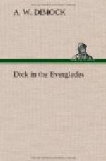 Dick in the Everglades by 