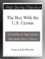 The Boy With the U.S. Census by 