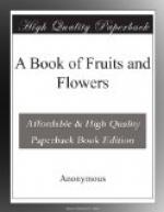 A Book of Fruits and Flowers by 