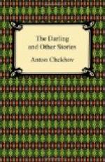 The Darling and Other Stories by Anton Chekhov