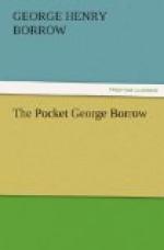 The Pocket George Borrow by George Borrow