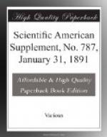 Scientific American Supplement, No. 787, January 31, 1891 by 