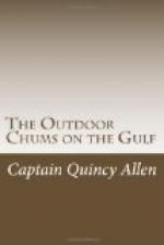 The Outdoor Chums on the Gulf by 