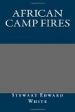 African Camp Fires by 
