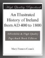 An Illustrated History of Ireland from AD 400 to 1800 by Mary Frances Cusack
